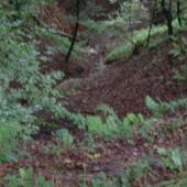 Wachtberg_24.jpg