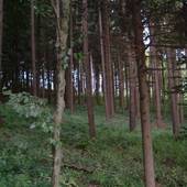 Wachtberg_25.jpg